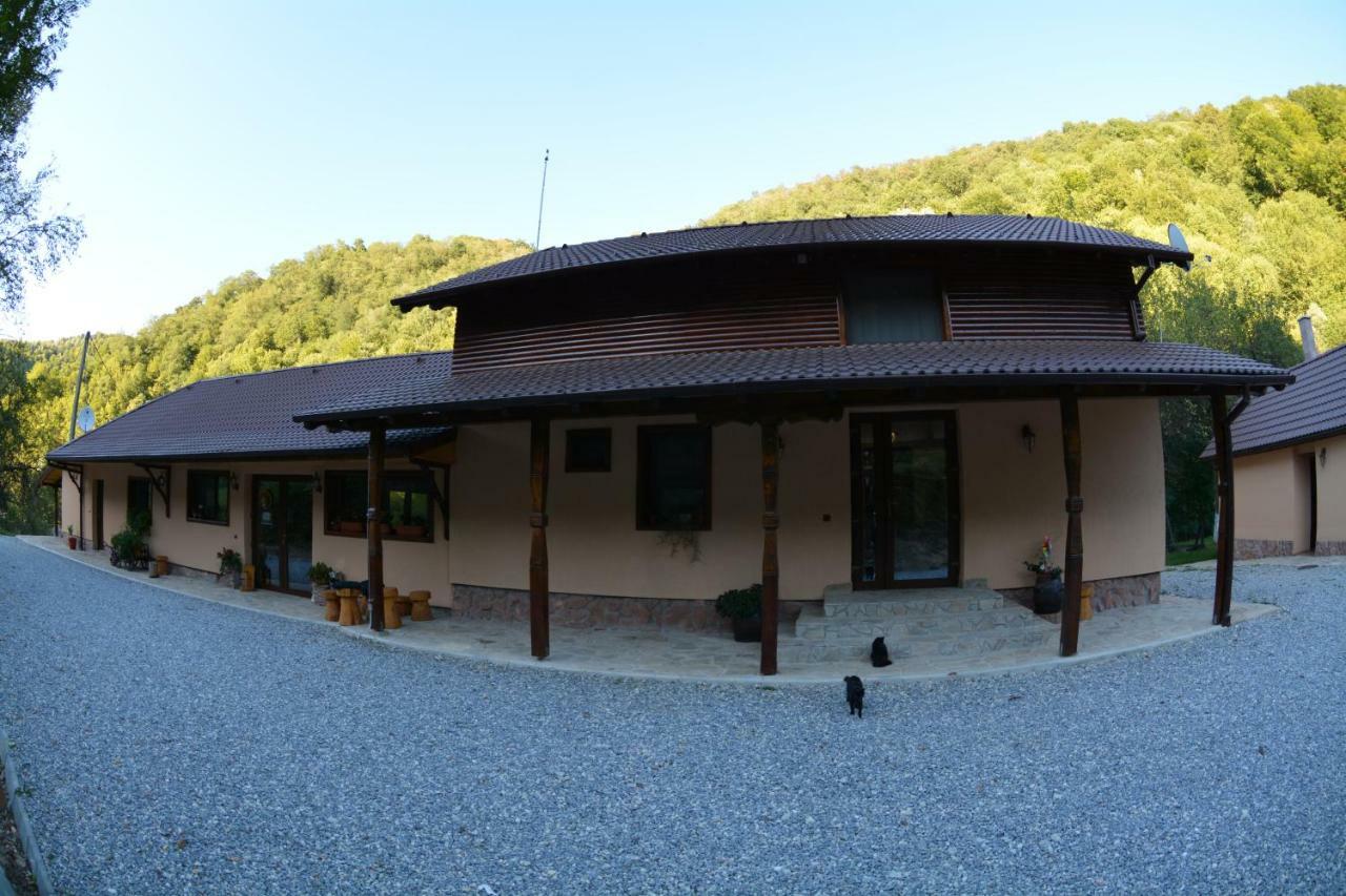 Pensiunea Lupul Dacic Costesti  Exterior photo