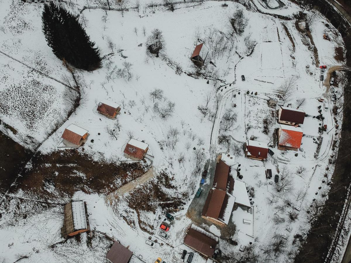 Pensiunea Lupul Dacic Costesti  Exterior photo